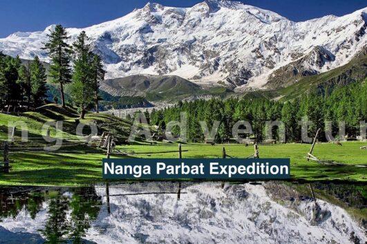 Nanga Parbat Expedition