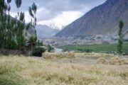 Spantik Expedition (7027m