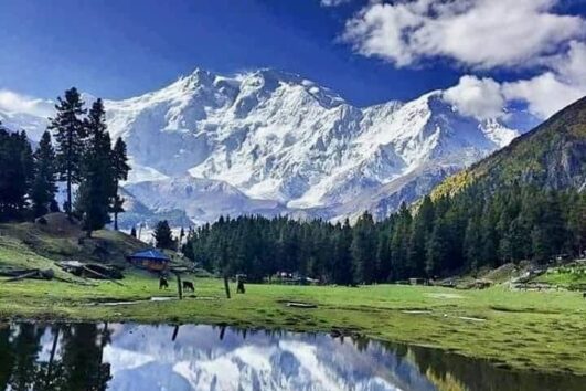 Nanga Parbat Base Camp Trek.