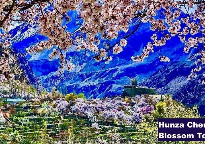 Hunza cherry blossom Tour